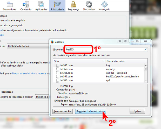 limpar-cookie-firefox-03.jpg