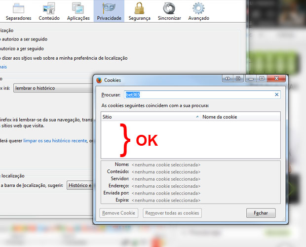 limpar-cookie-firefox-04.jpg